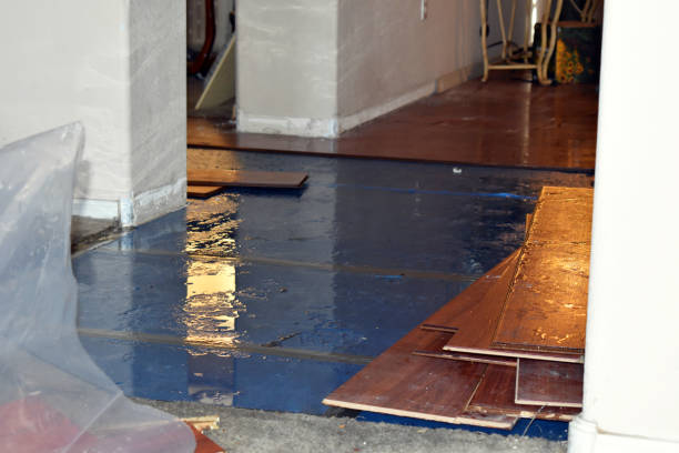 Professional Sewage Cleanup technician working in Ihlen, MN